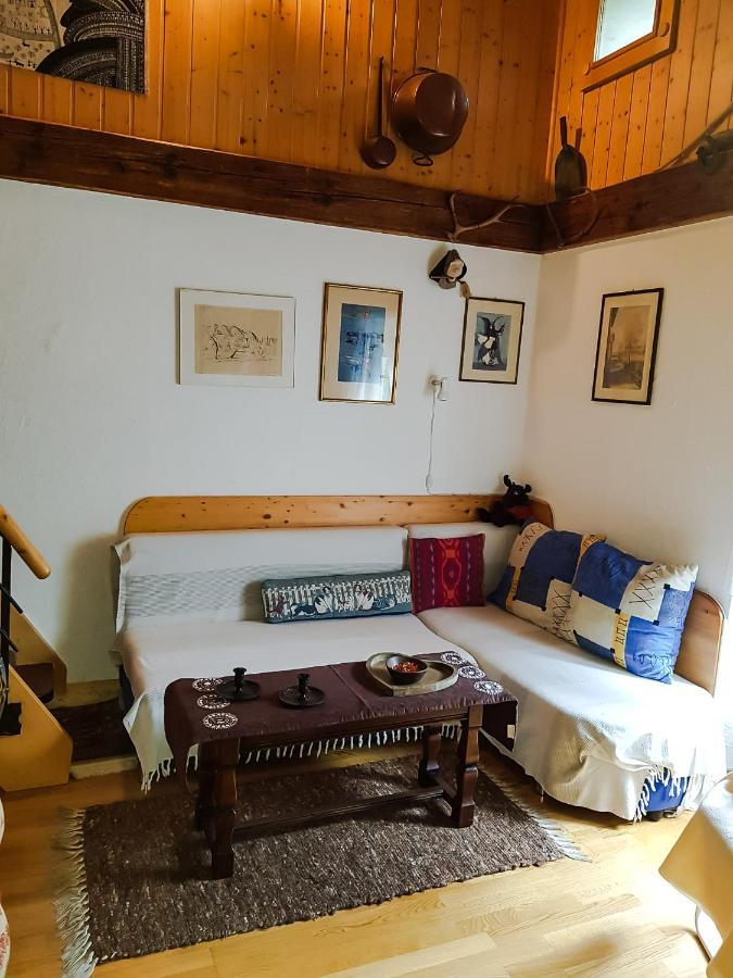 Fully, Valais Chalet Accueillant Avec Cheminee别墅 外观 照片